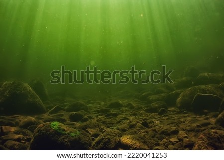 underwater fresh water green background with sun rays under, water Royalty-Free Stock Photo #2220041253