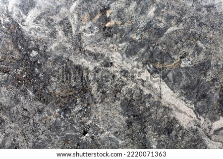 White Torroncino - natural grey granite stone texture, photo of slab. Slab photo. Soft light grey matt Italian, Spain stone pattern for exterior home decoration, floor and ceramic wall tiles surface.