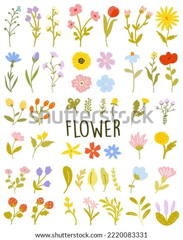 vector illustration icon freehand drawing in flat style pattern set of summer flowers