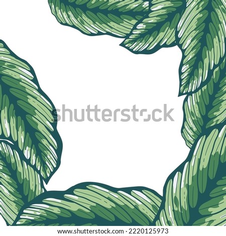 Hand drawn frame color tropical banner with jungle leaves. Exotic leaves illustrations frame jungle tree.