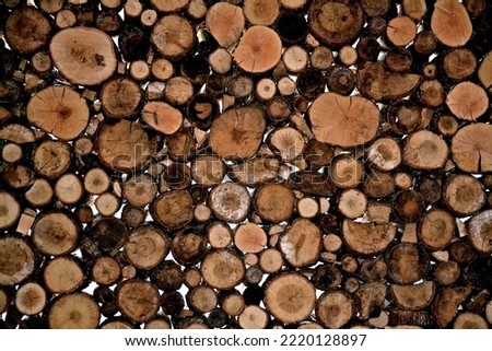 A lot of cut tree trunks