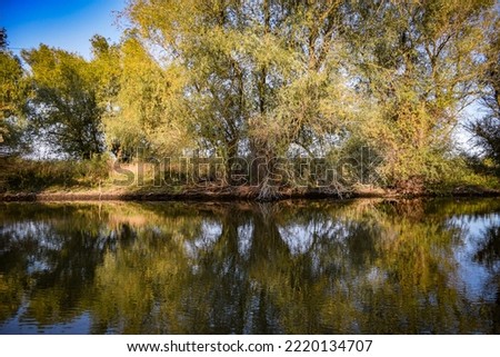 Landscape in Danube Delta near Mila 23 Royalty-Free Stock Photo #2220134707