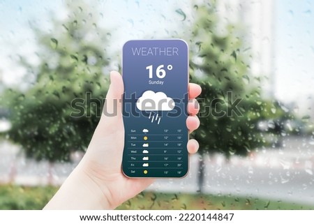 rainy weather. weather forecast for autumn. A woman's hand holds a mobile phone and looks at the weather forecast for the day on a park with a trees background