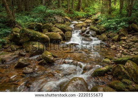 beautiful landscape with a small waterfall in a forest with stone terrain