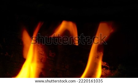 Beautiful Buring Fire Wood Images Beautiful real Picture
