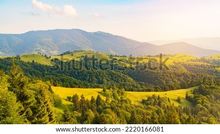 Dawn in green summer mountains. Vibrant photo wallpaper.  The tranquil beauty of the earth concept.