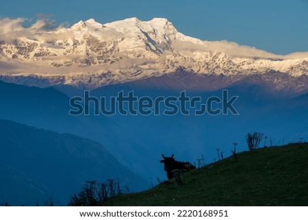 Beautiful Nepal along with the magnificent view of a mountain.