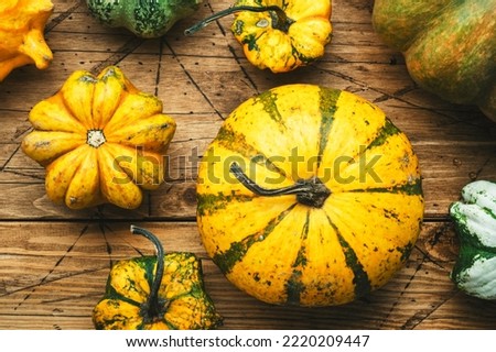Organic farm orange, white and green pumpkins on rustic wooden kitchen table, autumn food.. Top view
