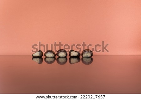 Group Of Raw Chestnuts In A Line With Reflection Isolated On Pastel Backgrounds, Still Life, Minimal Concept, Copy Space