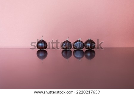Group Of Raw Chestnuts In A Line With Reflection Isolated On Pastel Backgrounds, Still Life, Minimal Concept, Copy Space