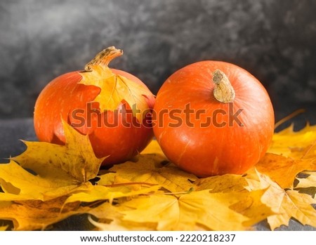 A group of orange pumpkins on maple leaves. Halloween. On a dark background.