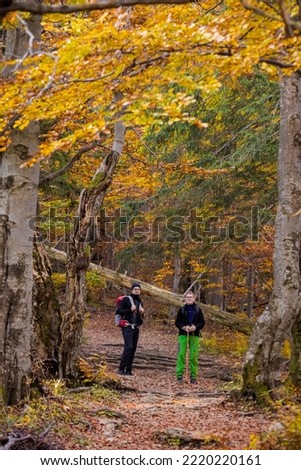 Adult tourists  trekking in autumn woods, photo taken in slovakian Mala Fatra mountains, path through Maly Rozsutec from Biely Potok