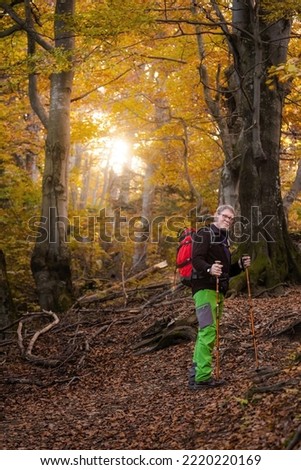 Adult tourist  trekking in autumn woods, photo taken in slovakian Mala Fatra mountains, path through Maly Rozsutec from Biely Potok
