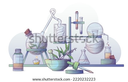 Technological production of essential oil and flower water. Steam distillation apparatus. Vector illustration of making tea tree oil in a chemical laboratory. Mortar and pestle.  Royalty-Free Stock Photo #2220232223