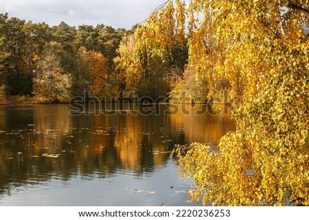 Autumn. Beautiful view of the river and the autumn forest.