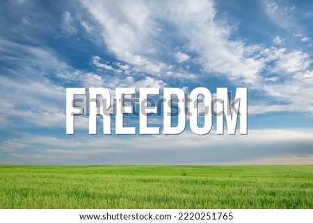 FREEDOM - word on the background of the sky with clouds.