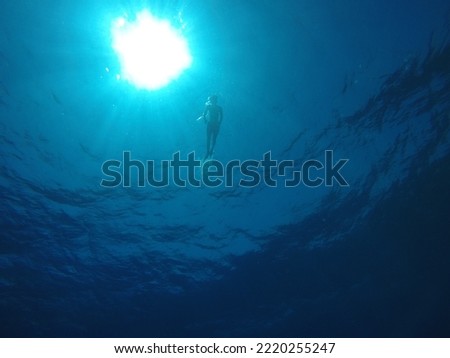 Shadow silhouette in black and dark blue color in red sea of a young man practicing snorkeling in the depths of the Red Sea