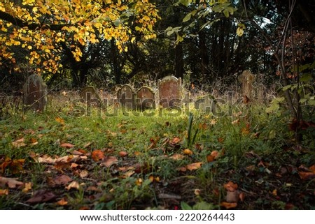 A few gravestones or tombstones in an English Church graveyard or cemetery. Shown during a sunny autumn day.