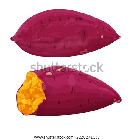 Illustration of whole sweet potato and sweet potato cut in half  A smoked yamVector eps 10. perfect for wallpaper or design elements Royalty-Free Stock Photo #2220271137