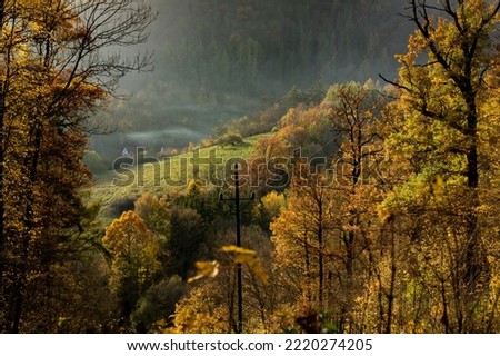 Forest in Krivoklad, Czech Republic