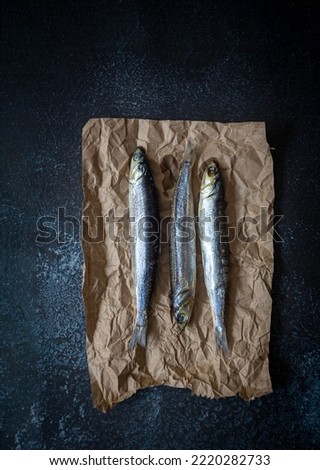 sardines gourmet photo studio, to make a delicious fish dish