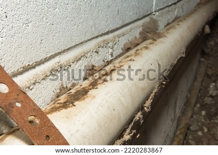 Rodent Rub Marks in a Basement Royalty-Free Stock Photo #2220283867