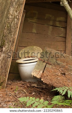 Old abandoned wooden outhouse in the woods. Ancient privy in the forest surrounded by ferns. Broken outbuilding covered in pine needles. Royalty-Free Stock Photo #2220290865