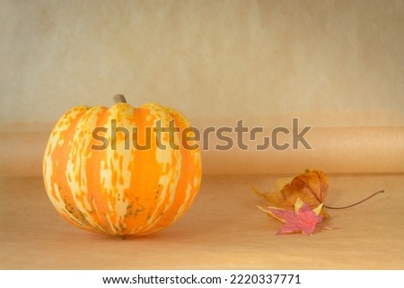 Small deuorative pumpkin with spots on a beige background
