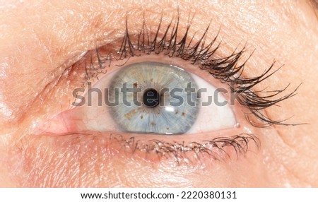 Beautiful blue eye close-up. eye girl macro