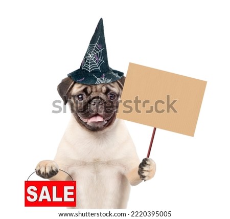 Pug puppy wearing hat for halloween holds empty placard and shows signboard with labeled "sale". isolated on white background
