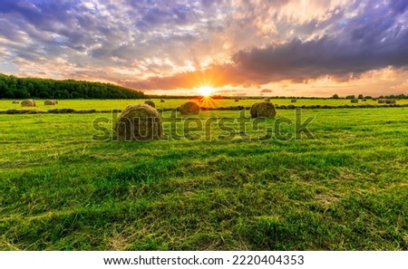 Scenic view at beautiful spring sunset in a green shiny field with green grass and golden sun rays, deep blue cloudy sky on a background , forest and country road, summer valley landscape Royalty-Free Stock Photo #2220404353
