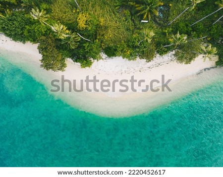Tropical palm trees on the sandy beach and turquoise ocean from above. Aerial view summer nature landscape.