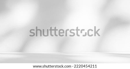 Background Grey White Studio Shadow Gray Abstract Podium Blur Product Beauty Space Empty 3d Light Surface Desk Interior Place Kitchen Table Room Pattern Texture Design Wall Template Mockup Plant Bg.