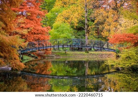Colored trees and footbridge of the Jardin Public park in Autumn in Bordeaux, France