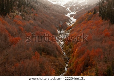 Beautiful orange and red autumn forest, many trees on the orange hills.Şavşat.Artvin.Turkiye