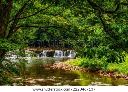 Whitaker Falls in summer on Elk River, Webster County, West Virginia, USA Royalty-Free Stock Photo #2220467137