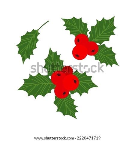 Christmas holly berry vector icon, cartoon mistletoe and leaf, ilex branch, xmas plant isolated on white background. Holiday illustration