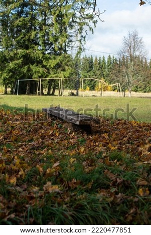 Wooden branchon the grass, covered with autumn leavess. Vertical frame. High quality photo