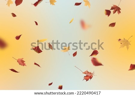 falling autumn leaves background abstract seasonal backdrop october