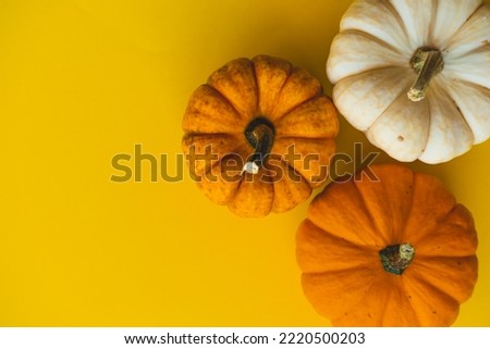 Three small pumpkins on a yellow background, top view