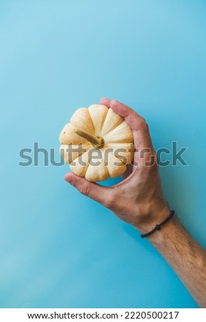 The hand holds a small white pumpkin on a blue background.