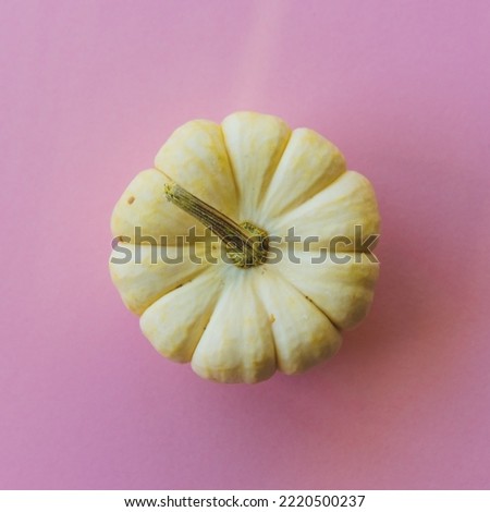 small white pumpkin on a purple pink background, top view