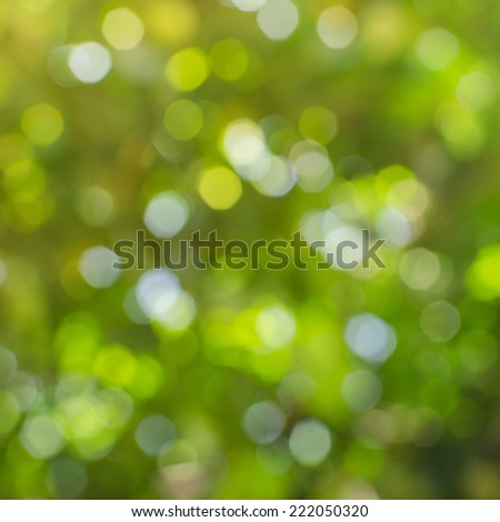 Natural blurred bokeh as background