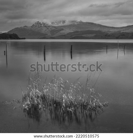 Black and white Stunning landscape image of Loch Lomond and snowcapped mountain range in distance viewed from small village of Luss