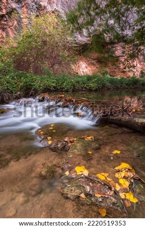 Autumn scene on a river, long exposure, water silk effect. Precious yellow leaves