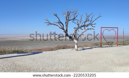 A bald tree and Love frame, these are points to take picture with pink salt lake background, Turkey, October 2022
