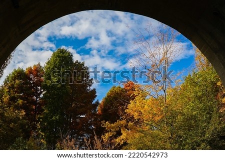 autumn landscape. beautiful color of nature. photo during the day.
