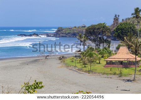 Untouched sandy beach with palms trees and azure ocean in background panorama 