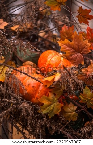autumn composition of pumpkins and autumn leaves