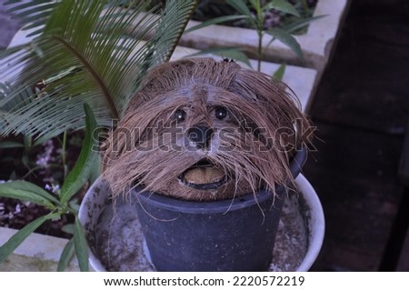 A doll made out of coconut shells.